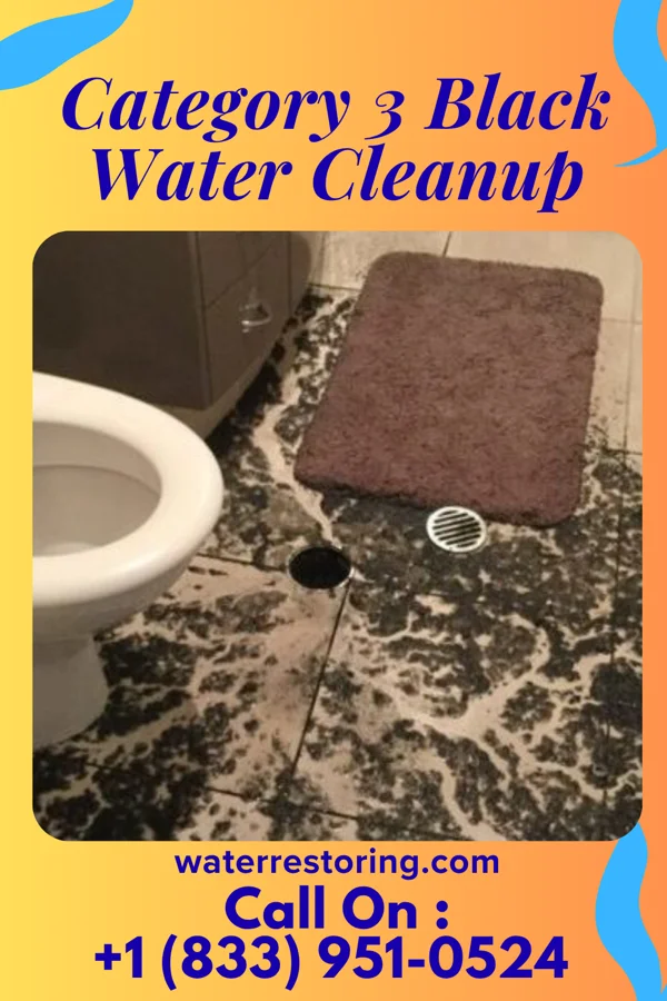 Category 3 Black Water Cleanup in Hinton, IA